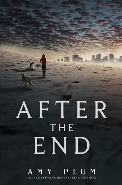 After the End Condition-Used