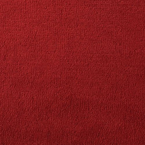 20 oz. Do-It-Yourself Boat Carpet - 8' Wide x Various Lengths (Choose Your Color & Length) (Red, 8' x 12') Condition-Used