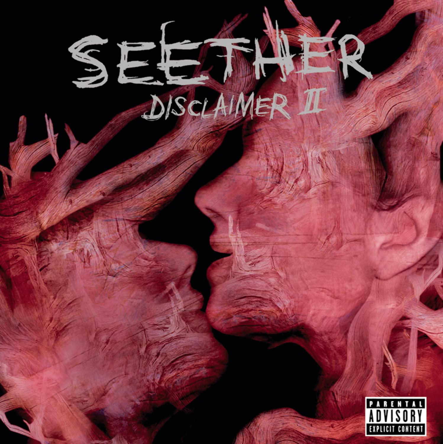 Disclaimer II-New