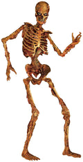 Beistle Jointed Skeleton Figurine for Party 6 Feet Paper Cutout Condition-Used