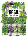 Seed Needs Basil Seeds Variety Pack of 8 Herbs for an Indoor Outdoor Garden