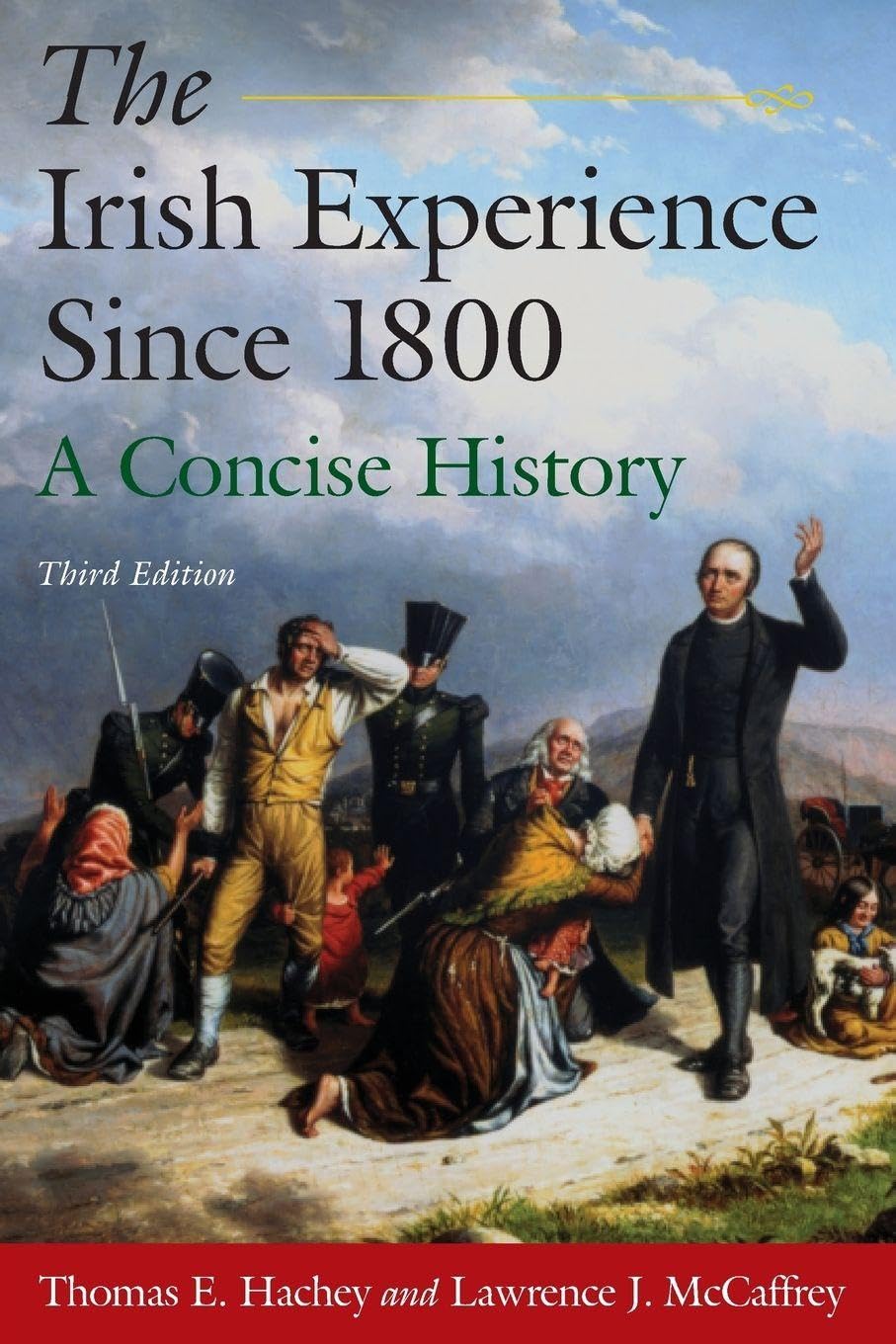 The Irish Experience Since 1800: A Concise History Condition-New