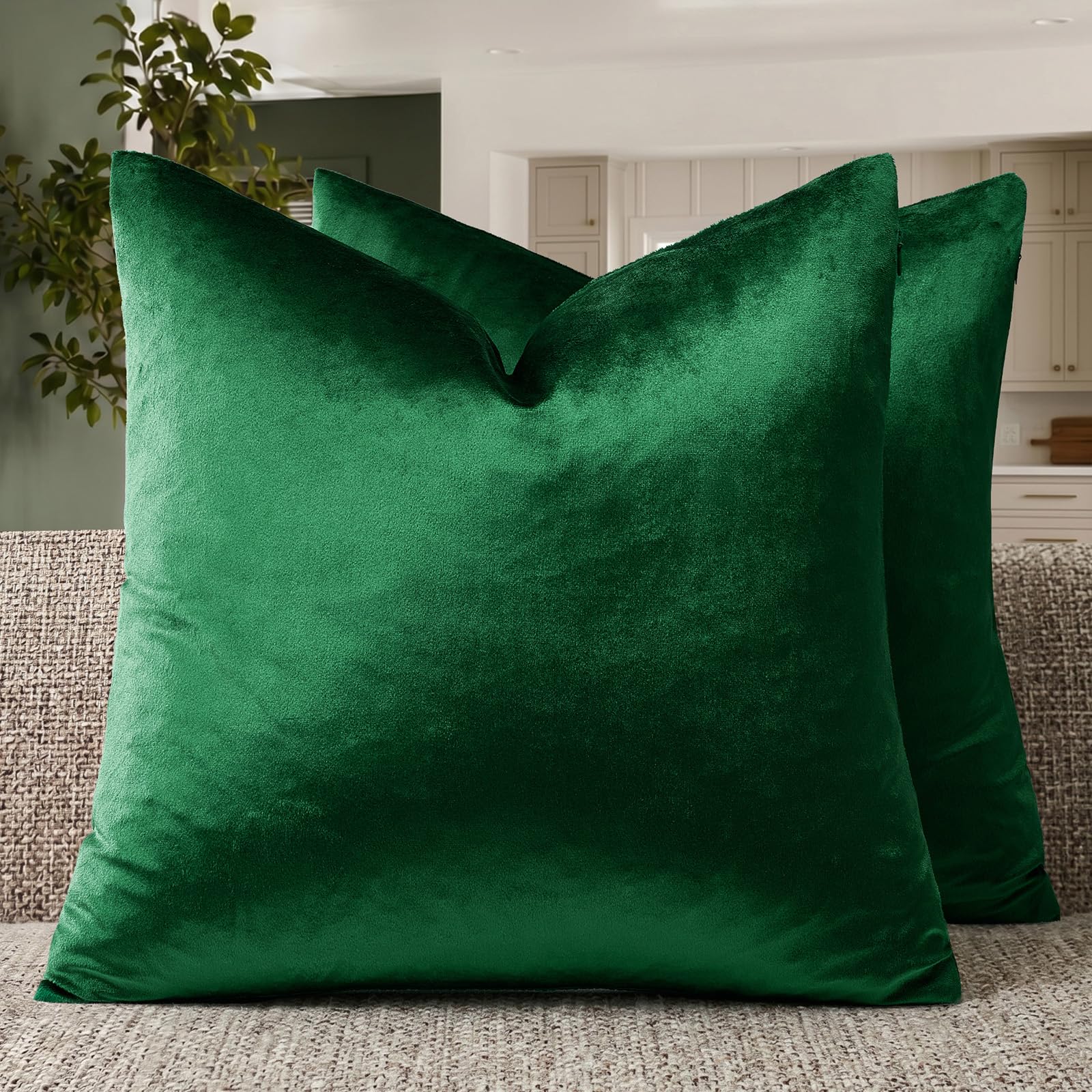 GIGIZAZA Green Velvet Pillow Covers 20x20 Decorative Pillows Pack of 2