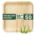 Econoroth 100% Compostable Palm Leaf Plates 10 Inch ?0 Pcs Premium Appetizer Plates like Disposable Bamboo plates, Eco-Friendly, Microwave Safe, Ideal for Christmas and all such occasions-Like New Condition-Like New