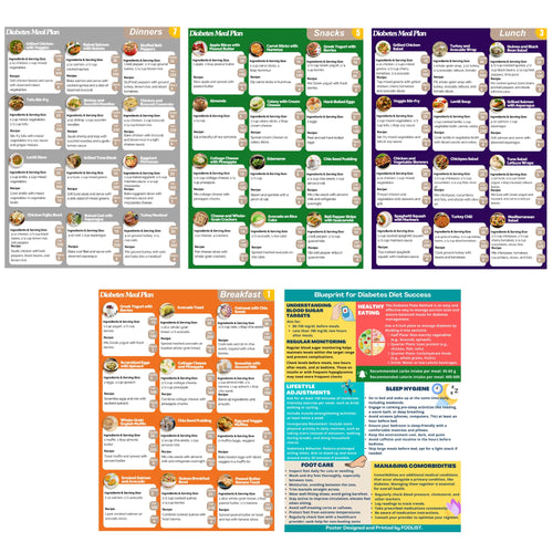 5PCS Diabetes Meal Plan & Nutrition Guide. List of Meals for Blood Sugar Control and Diabetes Management. Includes Educational Diabetes Poster. Counts Calories  Carbs  & Fibers. Laminated