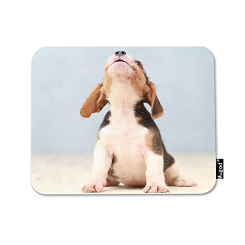 Mugod Puppy Dog Mouse Pad Small Cute Beagle Puppy Dog Looking Up Decor Gaming Mouse Pad Rectangle Non-Slip Rubber Mousepad for Computers Laptop 7.9x9.5 Inches Refurbished